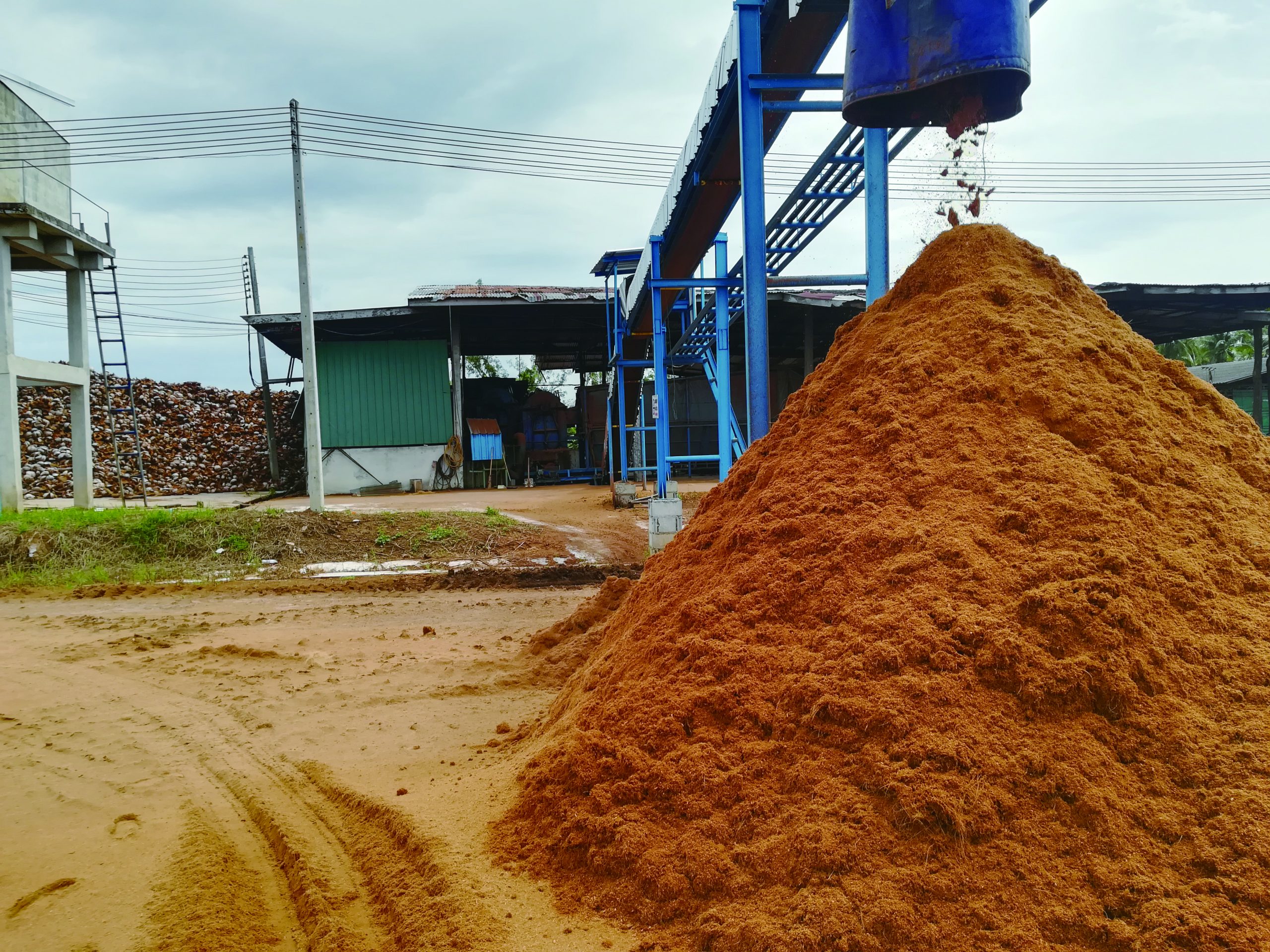After dehydration of coconut coir