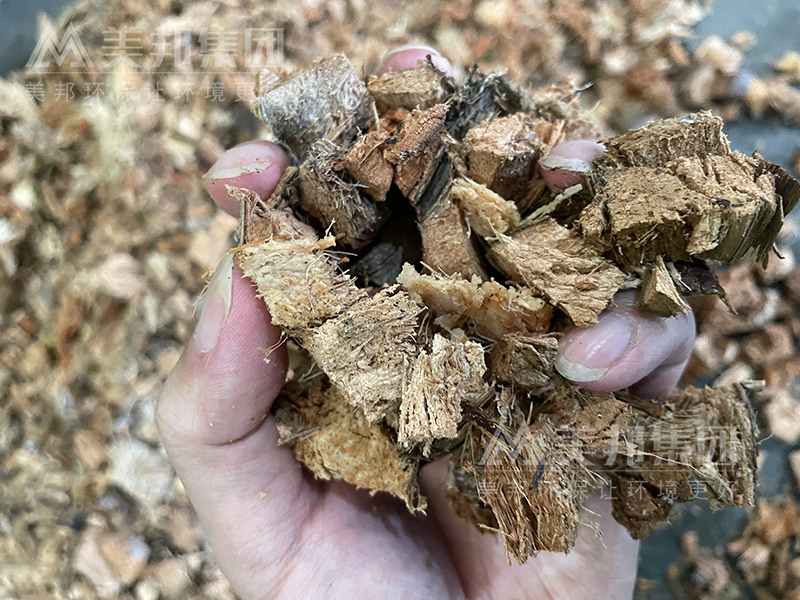 Coconut chunks processed by a coconut shell cutting machine