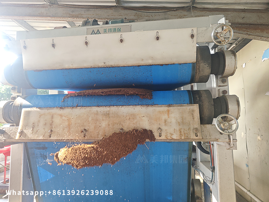 Belt press for dehydrating coconut coir