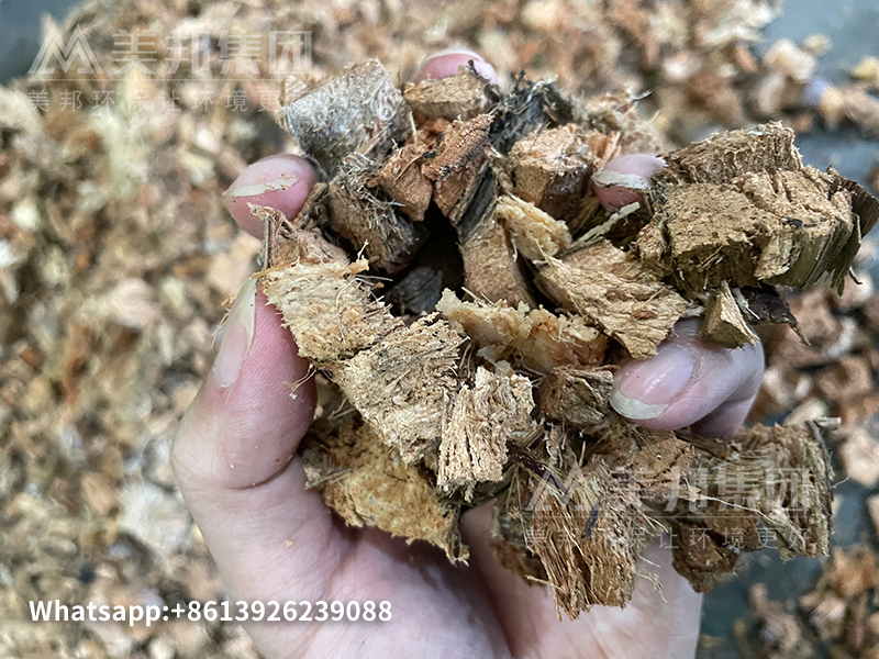 Coconut chunks processed by a coconut shell cutting machine 