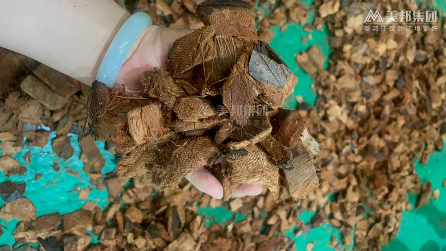 Coconut chunks processed by a coconut shell cutting machine