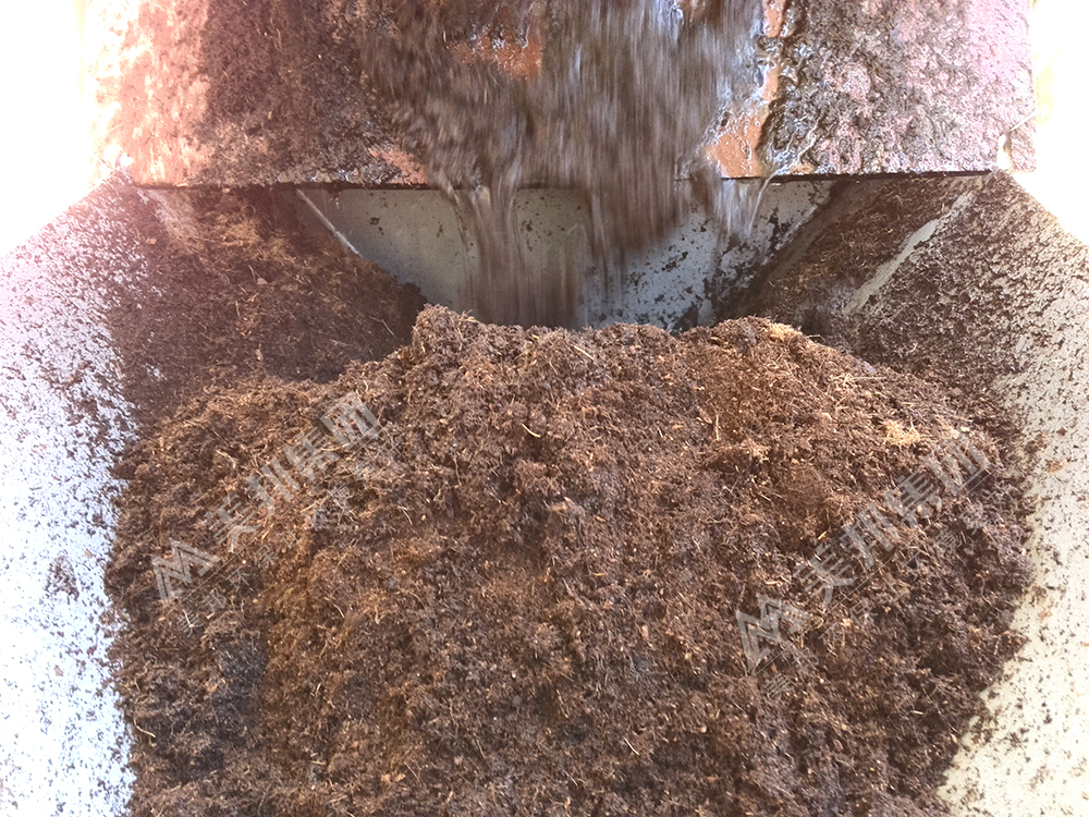 Coconut coir enters the dewatering machine hopper