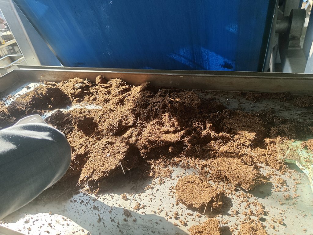 Coconut coir dehydrated by a belt press