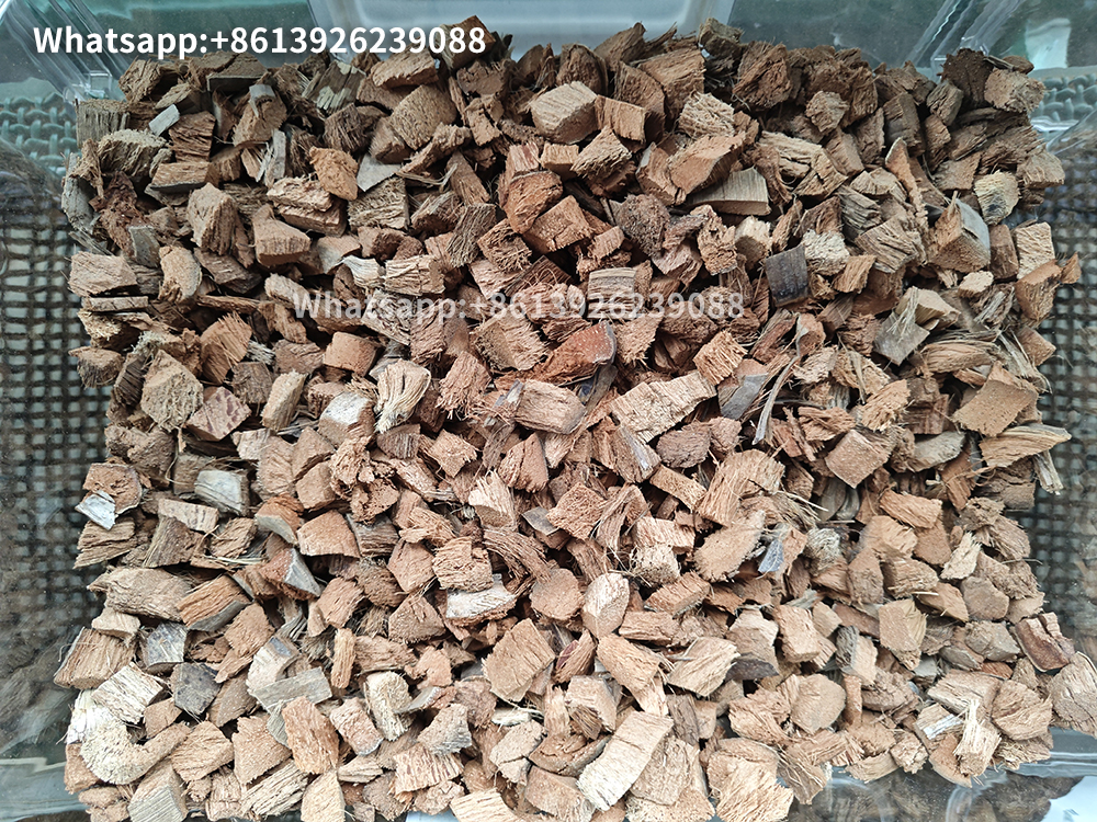 Coconut chunks processed by a coconut shell cutting machine 